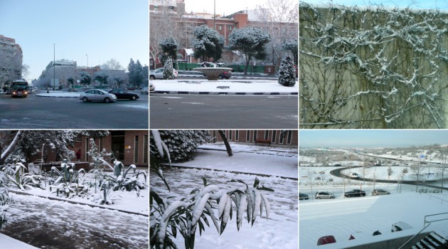 Postales de la nevada del 10 y 11 de enero de 2010