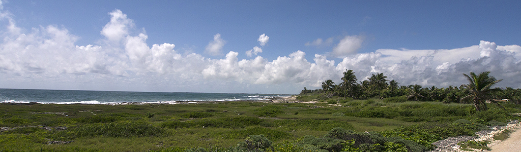 rivieraintro