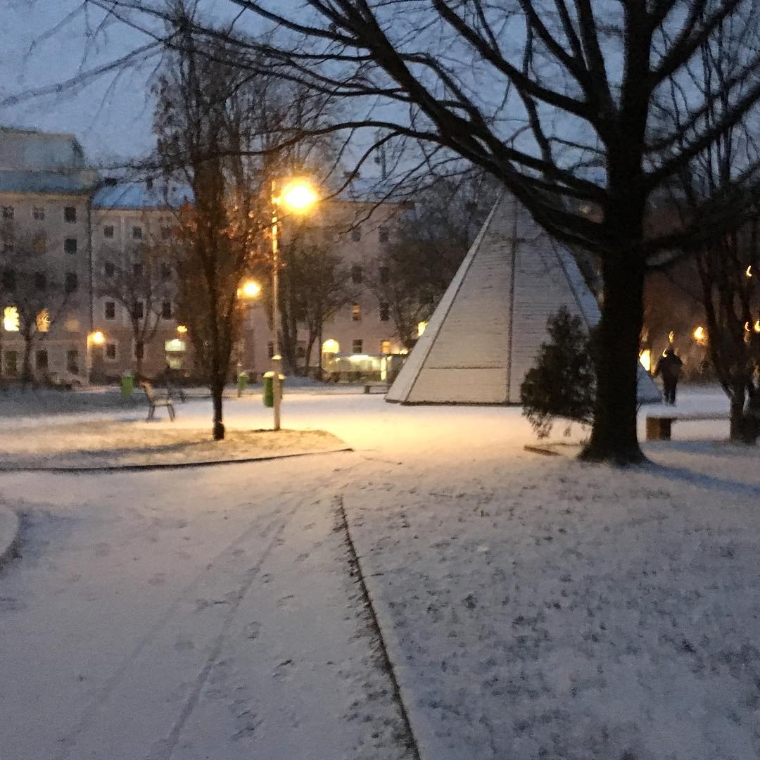 Nieve gélida en Linz