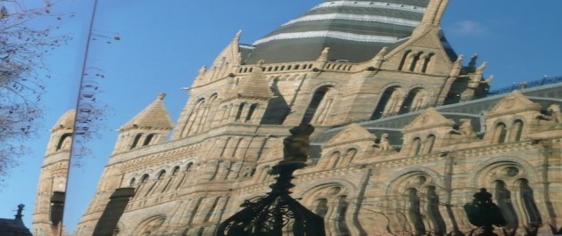 Natural History Museum of London, reflejado en un autobús