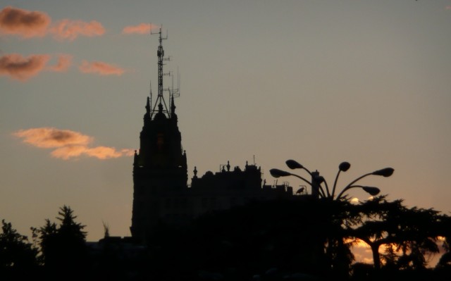 Palmeras en la ciudad