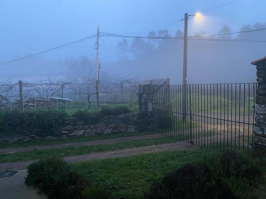 Niebla de NocheBuena