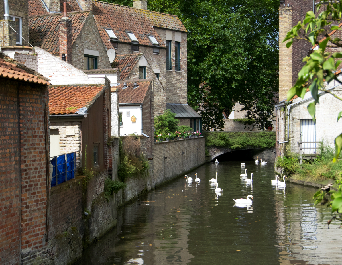 Brujas. 2014