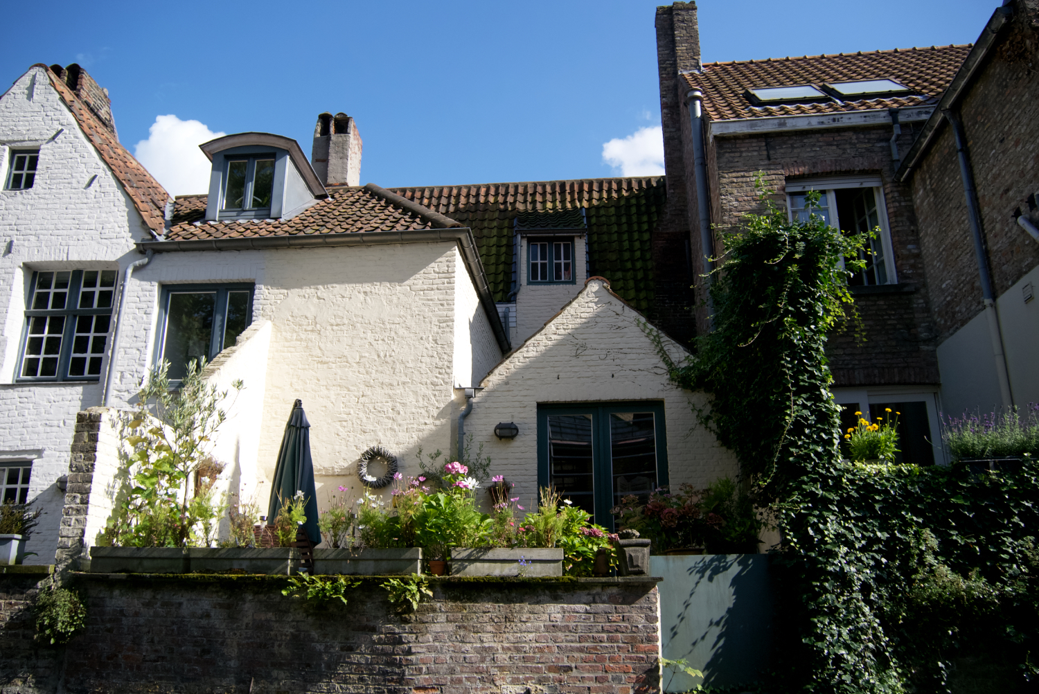 Brujas. 2014
